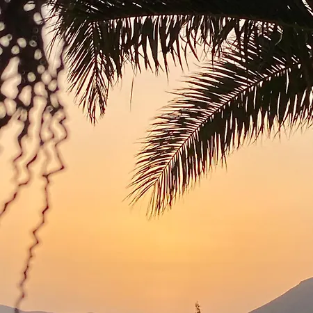 Orange House, Surf&yoga *