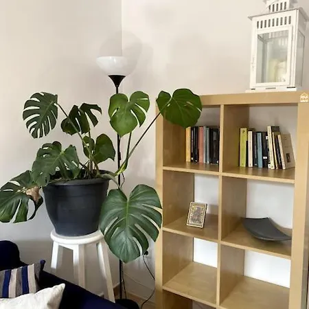 Vakantiehuis Orange House, Surf&yoga *