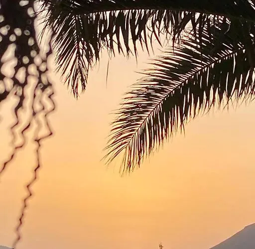 Orange House, Surf&yoga *