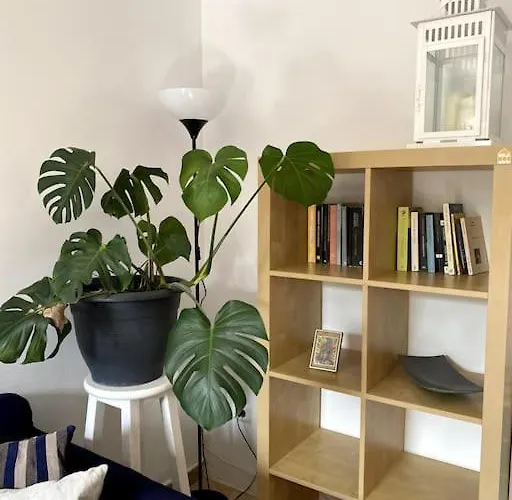 Semesterbostad Orange House, Surf&yoga *