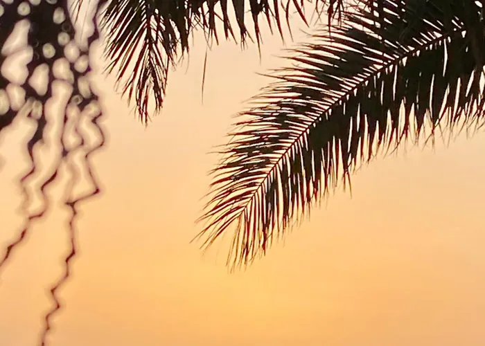 Orange House, Surf&yoga *