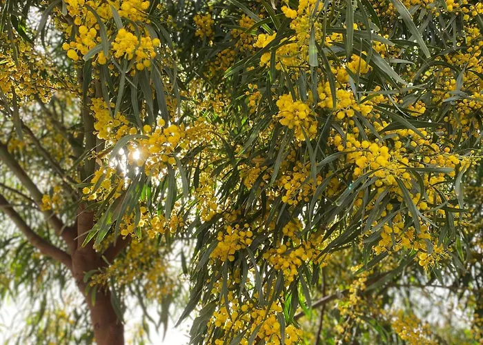 Orange House, Surf&yoga Feriehus Lajares